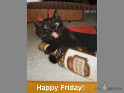 Funny-Animals-friday-Happy-Friday - Copy.jpg