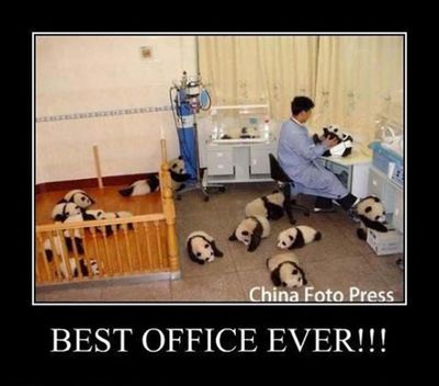 best office - Copy.jpg
