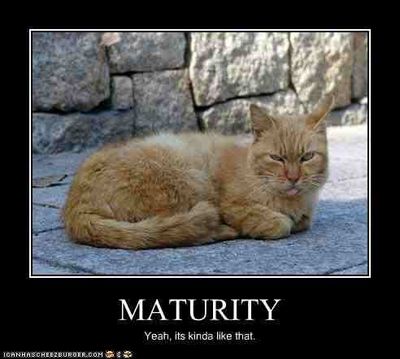 funny-pictures-cat-is-immature - Copy.jpg