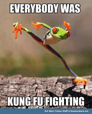 Kung-Fu-Frog-Meme - Copy.jpg