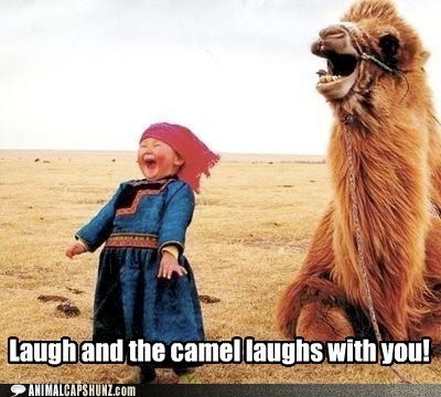 funny-animal-captions-laugh-and-the-camel-laughs-with-you - Copy.jpg