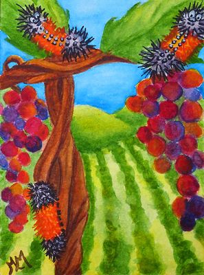 Hanging in the Vineyard