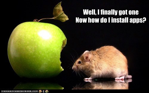 funny-animal-captions-animal-capshunz-this-isnt-as-smart-as-they-make-it-out-to-be - Copy.jpg