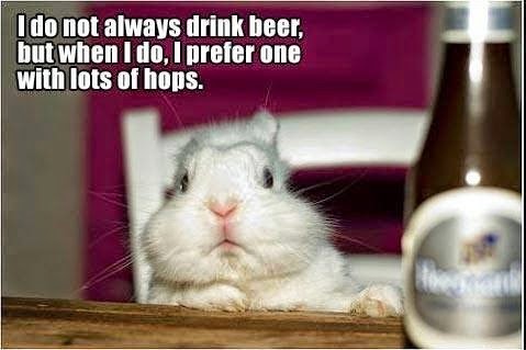 Beer hops - Copy.jpg