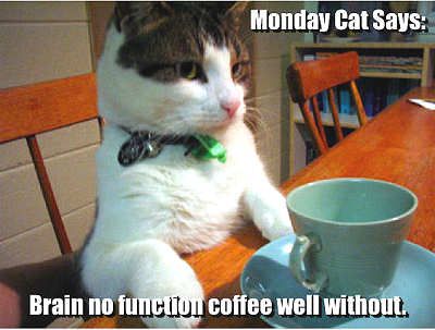 Monday_Cat_CoffeeLOLMO.jpg