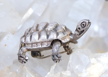 Taxco turtle