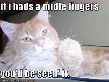 527541865_funny_pictures_cat_giving_finger_answer_5_xlarge.jpeg