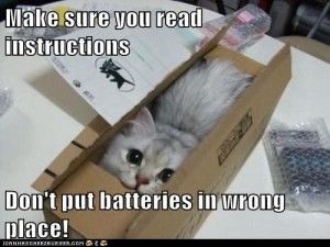 funny-cat-pictures-lolcats-make-sure-you-read-instructions-300x225.jpg
