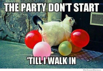 party-cat.jpg