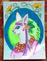 aceo tw nov on table cropped.JPG