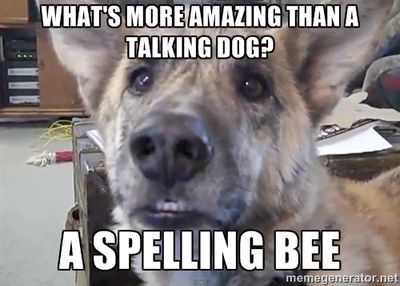 talking-dog-punchline.jpg