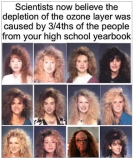 yearbookhairspray.png