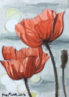 72 Two Poppies - 2013.JPG