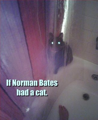 norman bates - Copy.jpg