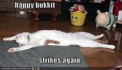 funny-pictures-happy-bucket-kills-cat - Copy.jpg