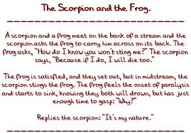 scorpion and frog.jpg