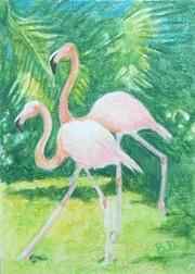 Flamingos2.jpg