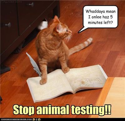 funny-pictures-stop-animal-testing - Copy.jpg