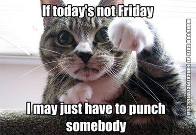 funny-cat-picture-if-today-is-not-friday.jpg