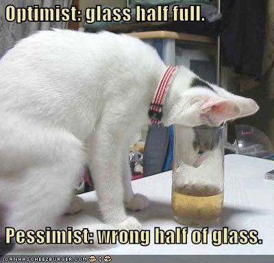 funny_pictures_cat_has_a_half_full_glass-s400x384-320261.jpg