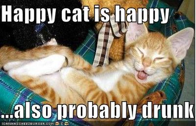 funny-pictures-happy-drunk-orange-cat.jpg