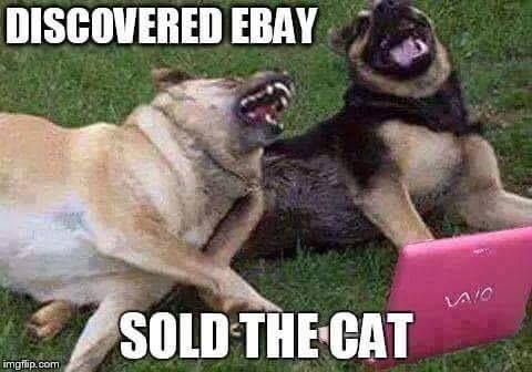 does ebay no longer sell pets in their classifieds... - The eBay Community