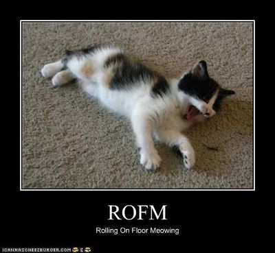 funny-pictures-kitten-rolls-on-floor.jpg