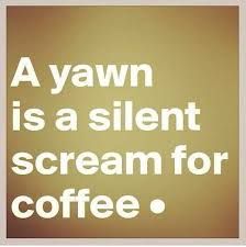coffee scream.jpg