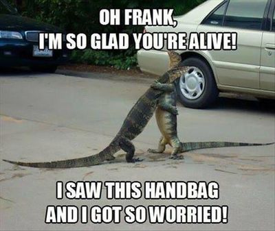 funny-pictures-lizards.jpg