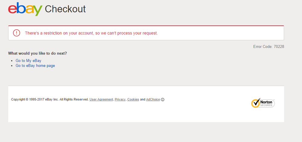 Account restrictions перевод. Something went wrong, please try again later.. Payment Error. Something went. Ебей 1995.