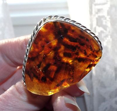 NFS - Dominican amber