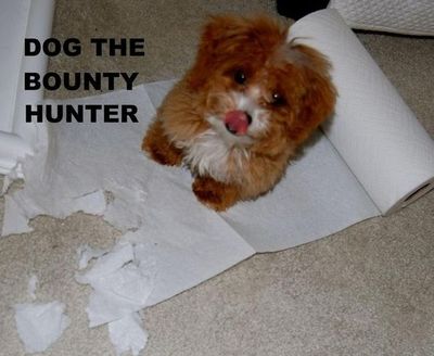 dog-the-bounty-hunter-14120.jpg