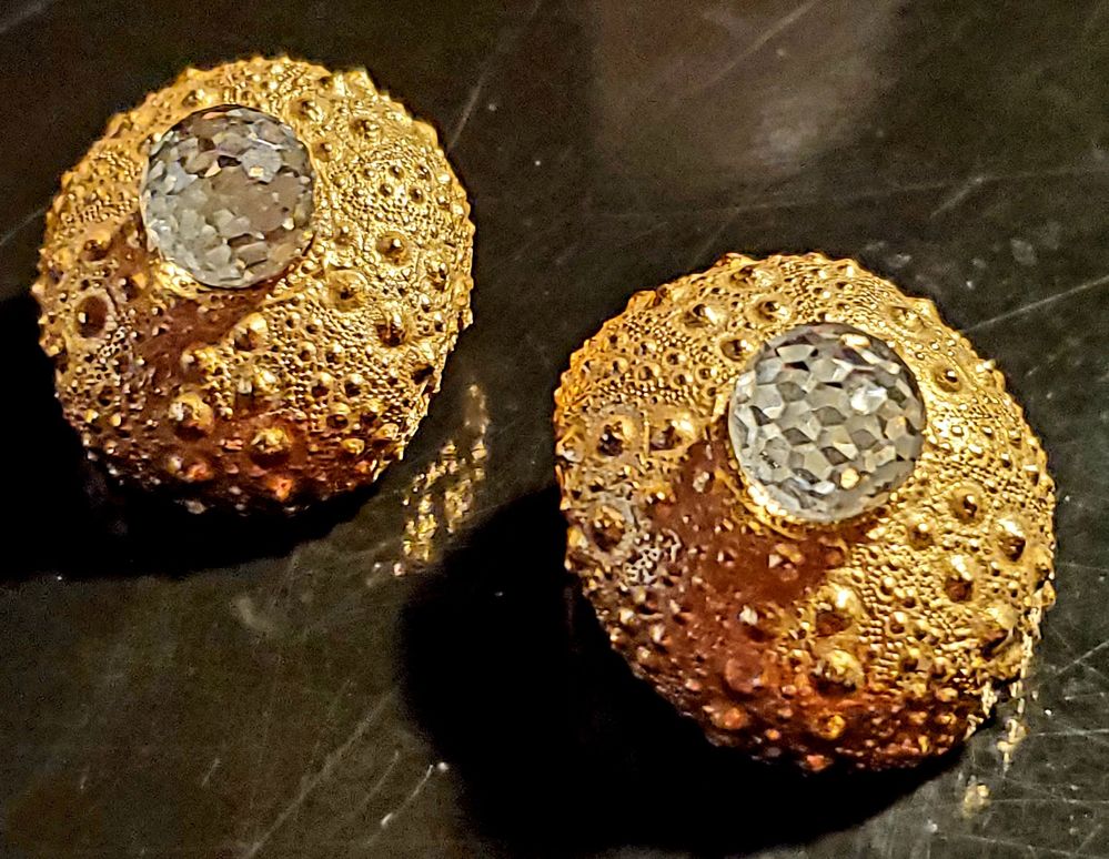 Sea Urchin Shell Earrings