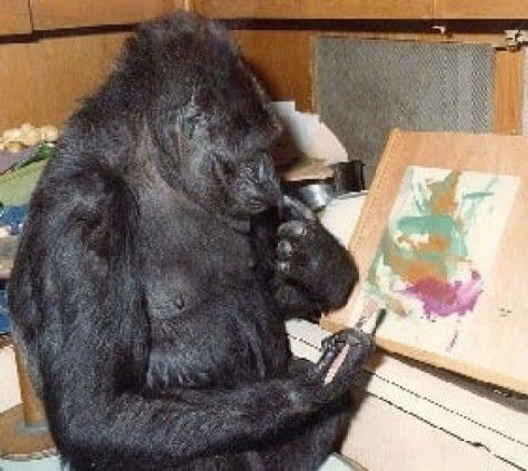 Koko-the-gorilla.jpg