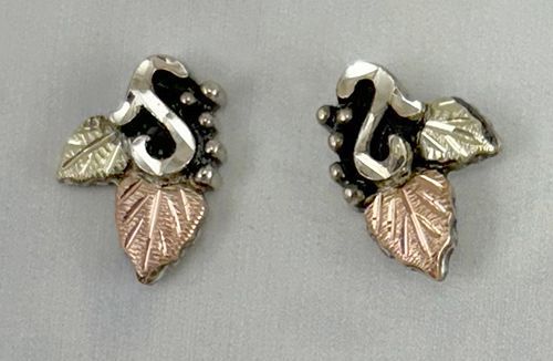 Small Black Hills Silver and Gold Earrings