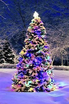 XMAS TREE-1.jpg